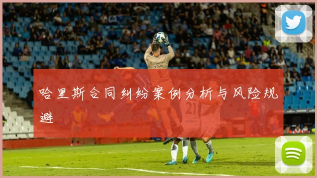 哈里斯合同纠纷案例分析与风险规避